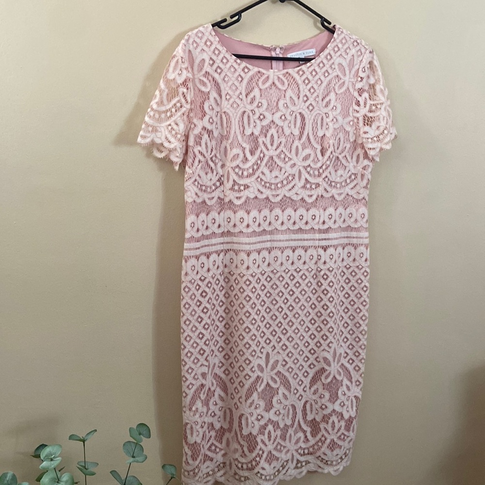 Preston & York Pink Lace Midi Dress